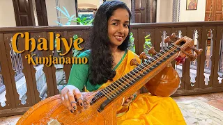 Chaliye Kunjanamo | Brindavana Saranga | Veena Arunitha Mohan