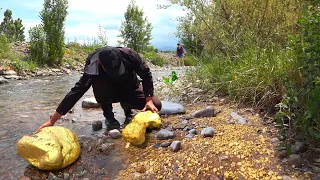 An Incredible Find! Huge Gold Nugget was dug up in River