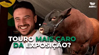 Como é a pecuária de Goiânia? 75ª Exposição agropecuária de Goiânia com AGRO2