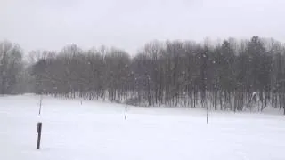 The snow in deer creek park