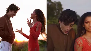 Timothée Chalamet gets attacked by a bee while Zendaya laughs at him!