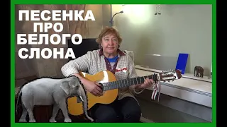 ПЕСЕНКА ПРО БЕЛОГО СЛОНА (Владимир Высоцкий)