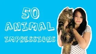 50 Animals