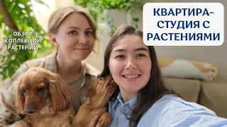 В ГОСТЯХ у Ксении | обзор РАСТЕНИЙ в уютной ПЕТЕРБУРГСКОЙ квартире