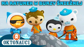 Oktonauci - ❄️ Na ratunek w burzy śnieżnej ⛑️ | Kompilacja | Całe odcinki