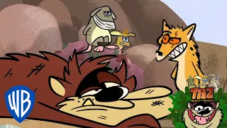 Taz Replacement | Taz Quest For Burger | @wbkids​