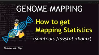 Samtools Tutorial | Getting the Mapping Statistics of a BAM or SAM file