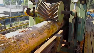 Amazing Fastest Wood Sawmill Machines Working / Wood Cutting Machine Modern Technology