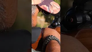 Hunting Giant Wild Boar | Sniper Rifle Shot