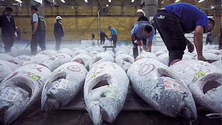 How Tuna Fish Is Caught & Processed | How It's Made Canned Tuna