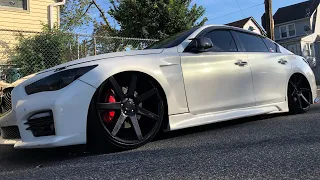 Bagged Q50