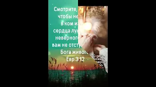 Чудесного зимнего дня! Христианское пожелание!