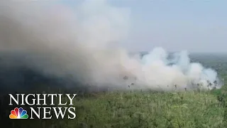 Brazil’s Leadership Under Fire For Blazes Decimating Amazon Rainforest | NBC Nightly News