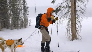 My First Time Ski Camping With A Pulk