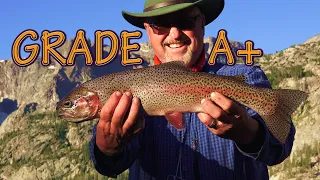 Big Trout Bliss🌟 Catch and Cook Delight😋 Backpacking Fisherman