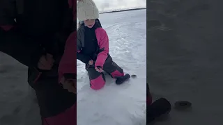Ten Year Old pulls up a Monster Pike!! 🎣 #icefishing #shorts