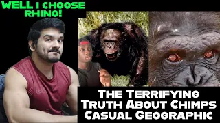 The Terrifying Truth About Chimps by casual geographic