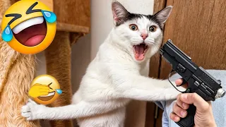 Try Not To Laugh 😋😻 New Funny Cats And Dogs Video 😻