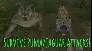 How To Survive Puma/Jaguar Attacks! | Green Hell