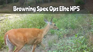 Browning Spec Ops Elite HP5: June 2-18, 2023