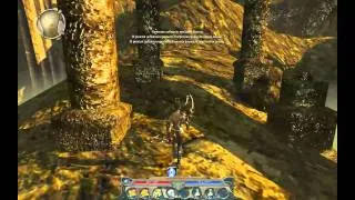 Divinity 2 Ego draconis прохождение ч.20.mp4