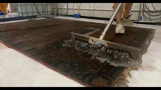 Dirty Water Oozes Out Of Rug | Satisfying Rug Cleaning ASMR