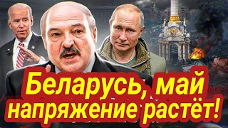 Беларусь, май, страна, армия, президент... Таро прогноз