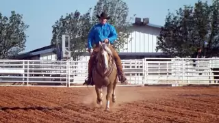 Clinton Anderson and the Method fix problem horses!