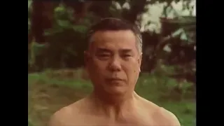 Karate. The way of the empty hand. Morio Higaonna. Goju Ryu