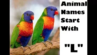 NAME AN ANIMAL THAT STARTS WITH THE LETTER "L" | Animal Names | Nursery Learning | Kids Corner