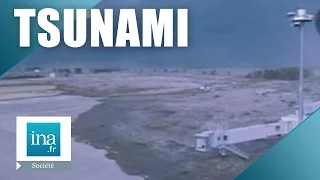Tsunami du 11 mars 2011 au Japon | Archive INA