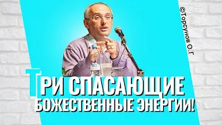 Три Божественные энергии, поддерживающие и спасающие! Торсунов лекции