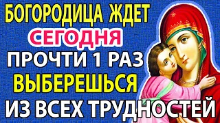 Сегодня НЕ ПРОПУСТИ! БОГОРОДИЦА поможет прямо сейчас! Молитва Владимирской Богородице