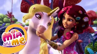 A Floresta Seca - Temporada 1 Episódio 14 - O Mundo de Mia - Mia and me