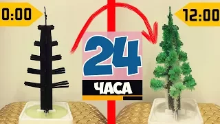 DIY | КАК ОБЫЧНЫЙ КАРТОН ПРЕВРАТИТЬ В ЁЛКУ ЗА 24 ЧАСА