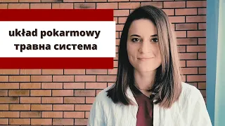 Медична польська мова - екзамен NIL - Травна система, Układ pokarmowy - Польська для лікарів