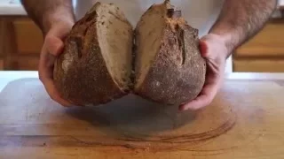 How to Make 50% Whole Wheat Sourdough Bread