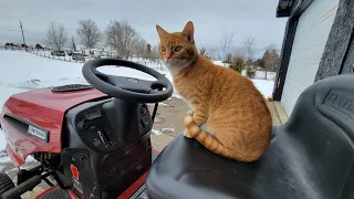 big red in the snow (fail)