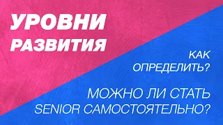 Можно ли стать senior самостоятельно? Уровни развития. Как определить свой уровень в программировани