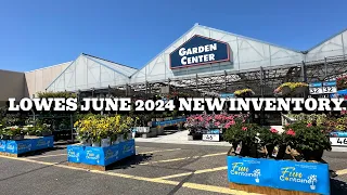NEW ARRIVALS! LOWES Garden Center June 2024 Perennials, Annuals, Shrubs & Lots Of Proven Winners