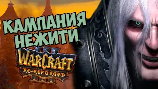 О чём будет Warcraft 3 Re-Reforged | Кампания Нежити