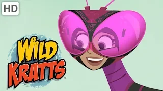 Wild Kratts - Best Season 3 Moments! (Part 6/6) | Kids Videos