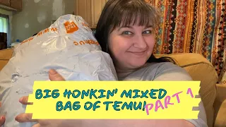 Big Honkin' Mixed Bag of Temu! (Part 1)