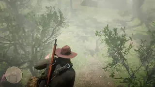 What will happen if we visit camps duing guarma CHAPTER 5-red dead redemption 2