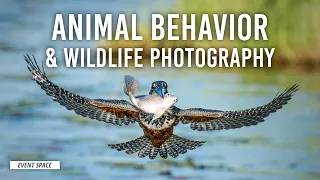 Secret Life of Animals: Behavior & Wildlife Photography | B&H Event Space