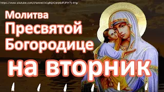 Молитва Пресвятой Богородице на вторник.Обязательно сегодня повторите эти слова