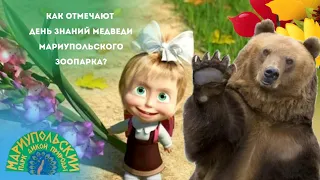 🌺🐻КАК ОТМЕТИЛИ ДЕНЬ ЗНАНИЙ МЕДВЕДИ МАРИУПОЛЬСКОГО ЗООПАРКА?