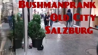 Bushman Prank - Salzburg Altstadt