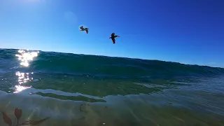 Finding Jello SLAB waves and glassy WIERD WAVES! *Oddly Satisfying*