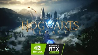 Hogwarts Legacy (1124649) / Intel Xeon E5-2666 v3 / RTX 2060 SUPER / FPS TEST (SSD)